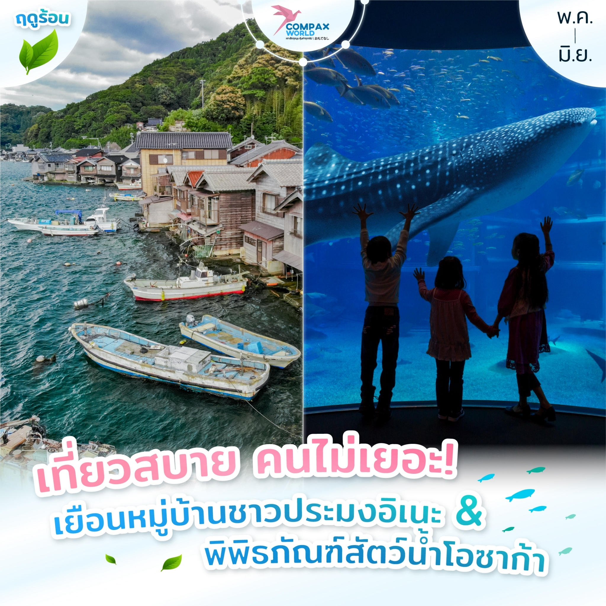 ทัวร์ญี่ปุ่น เที่ยวญี่ปุ่น โปรแกรมทัวร์ญี่ปุ่น